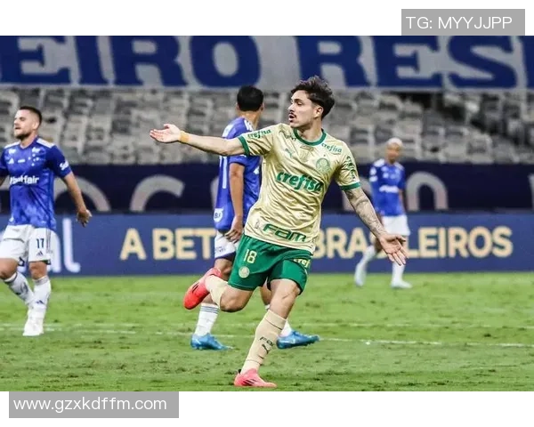 巴西乙组精彩对决国际体育力争胜利挑战对手